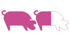 Twee varkensiconen voor 1,6 deel gevuld met roze
